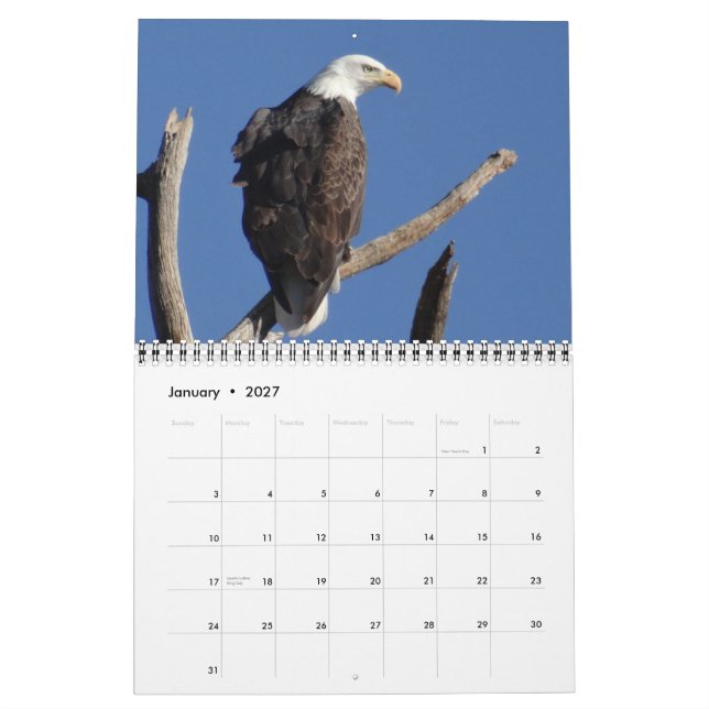 Calendário Aves da América do Norte (Jan 2027)