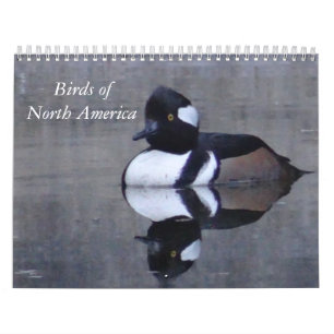 Calendário Aves da América do Norte calandar