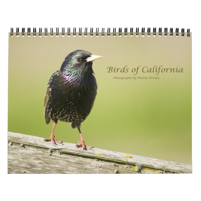 Calendário Aves da Califórnia (Capa)