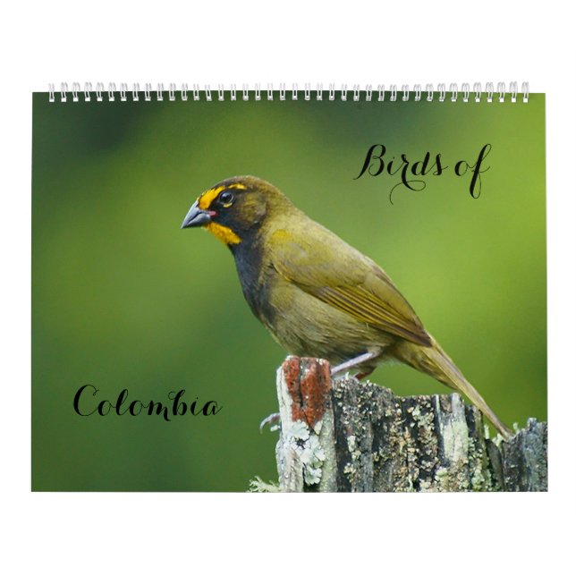 Calendário Aves da Colômbia (Capa)