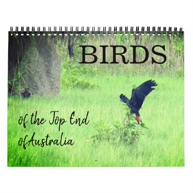 Calendário aves da extremidade superior 2025 (Capa)