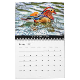 Calendário Aves da Floresta de Dean Calendar 2021