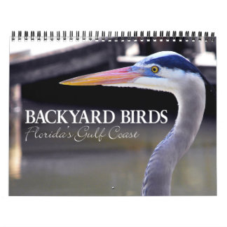 CALENDÁRIO AVES DE BACKYARD