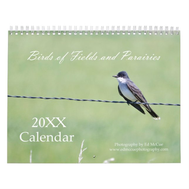 Calendário Aves de Campos e Pradarias (Capa)