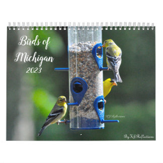 Calendário Aves de Michigan