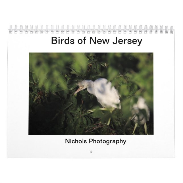 Calendário Aves de Nova Jersey (Capa)