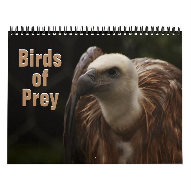 Calendário Aves de presa 2022 (Capa)