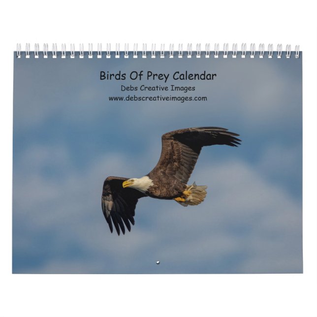 Calendário Aves de presa 2026 (Capa)