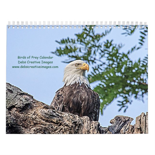 Calendário Aves de presa 2026 (Capa)