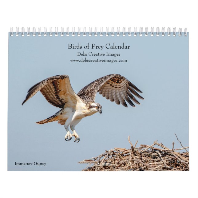Calendário Aves de presa 2026 (Capa)