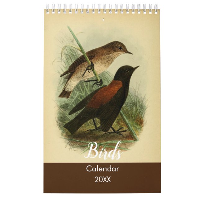 Calendário Aves de Tierra Del Fuego (Capa)
