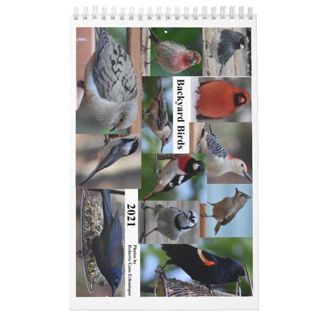 Calendário Aves do Médio-Atlântico (Capa)