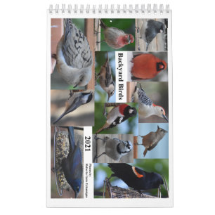 Calendário Aves do Médio-Atlântico