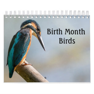 Calendário Aves do Mês de Nascimento