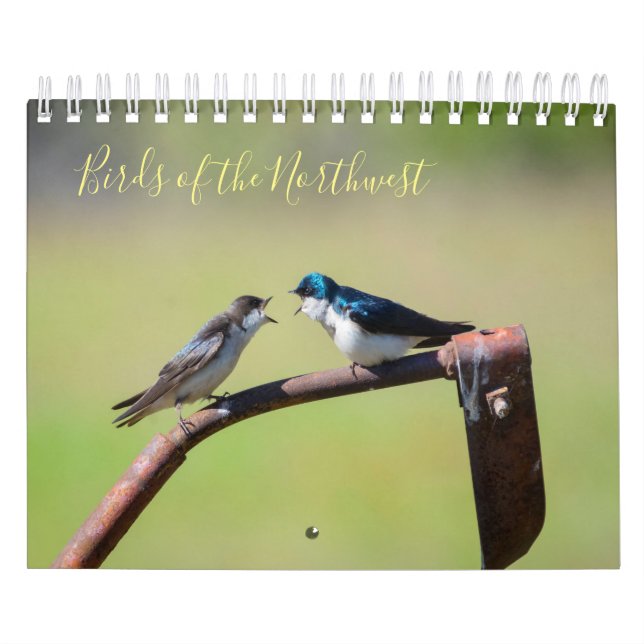 Calendário Aves do Noroeste (Capa)