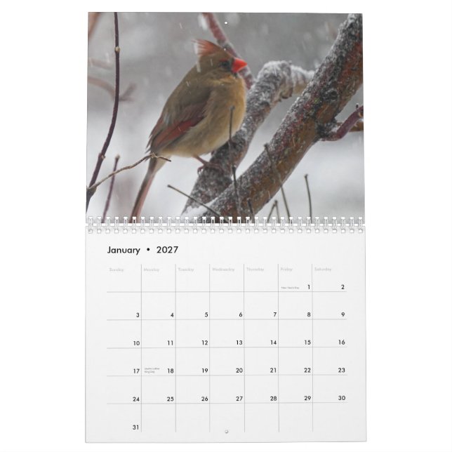 Calendário Aves do quintal (Jan 2027)
