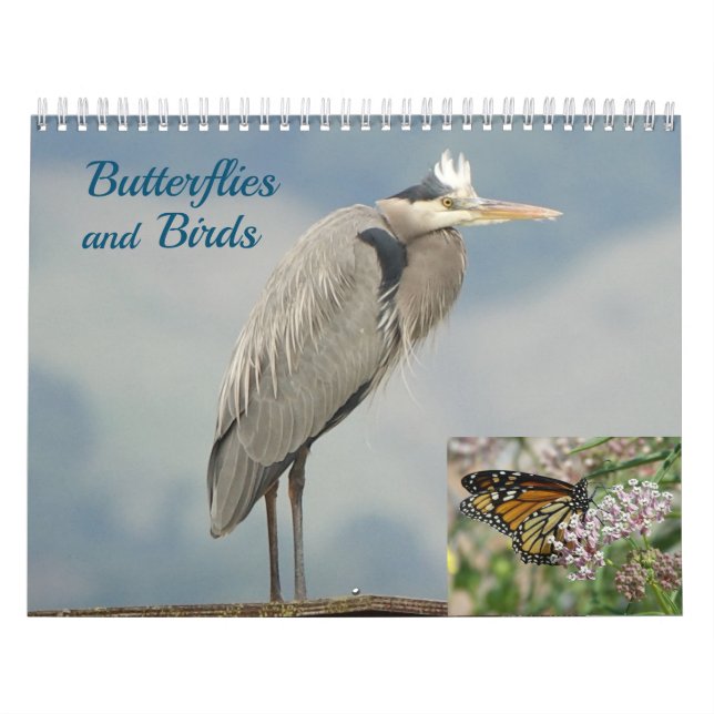 Calendário - Aves e Borboletas (Capa)