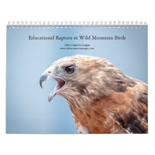 Calendário Aves Educacionais em Wild Mountain Birds 2026
