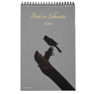 Calendário Aves em Silhouette 2025