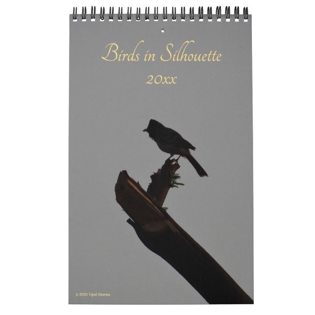 Calendário Aves em Silhouette 2026 (Capa)