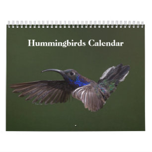 Calendário Aves Hummingbird 2022