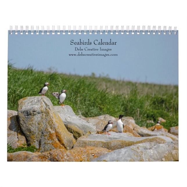 Calendário Aves marinhas na Ilha Seal de Machias 2026 (Capa)