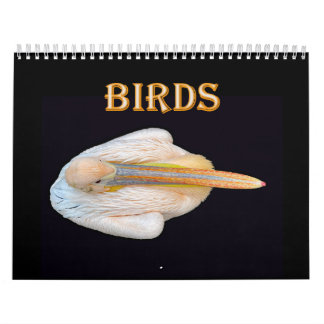 Calendário aves mundiais
