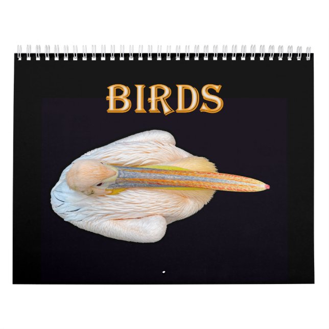 Calendário aves mundiais (Capa)