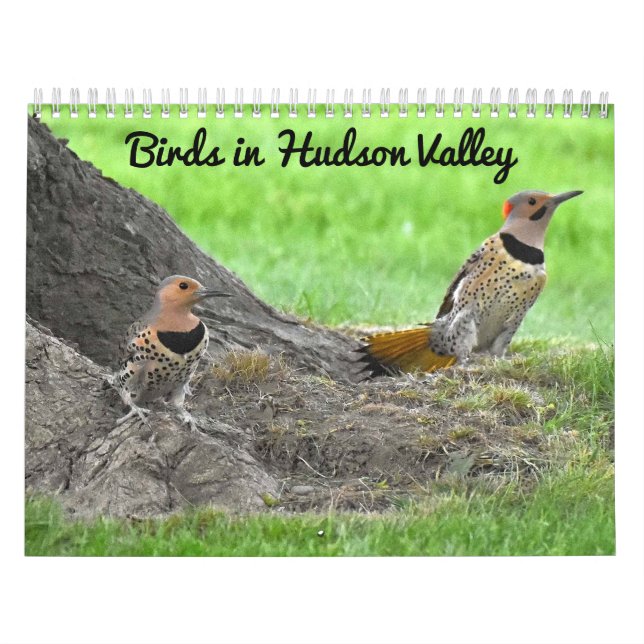 Calendário Aves no Vale do Hudson (Capa)