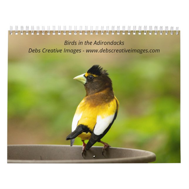 Calendário Aves nos Adirondacks 2026 (Capa)