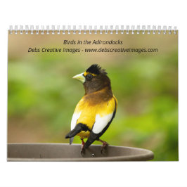 Calendário Aves nos Adirondacks 2026