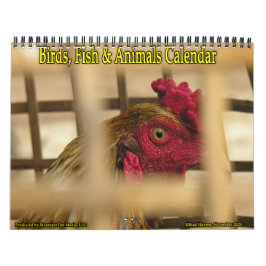 Calendário Aves, Peixes e Outros Animais Exóticos