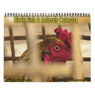 Calendário Aves, Peixes e Outros Animais Exóticos