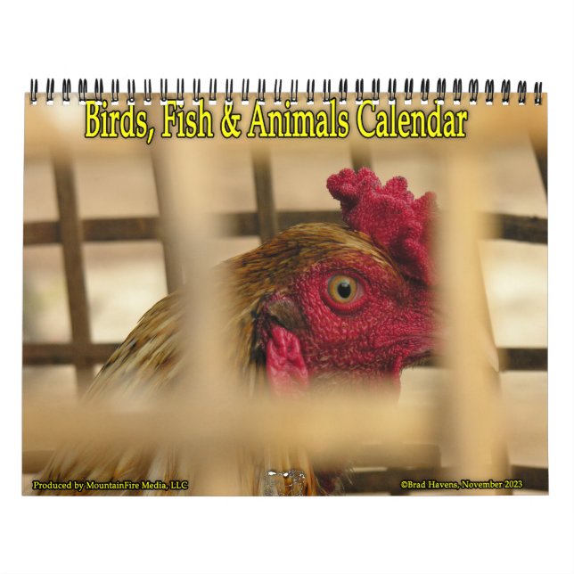 Calendário Aves, Peixes e Outros Animais Exóticos (Capa)