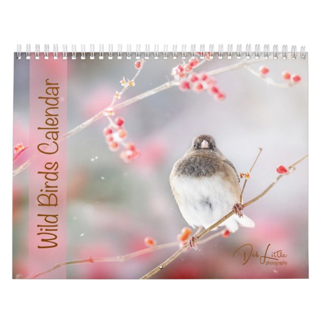 Calendário Aves Selvagens (Capa)