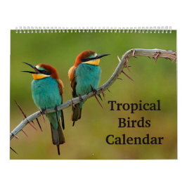 Calendário Aves Tropicais