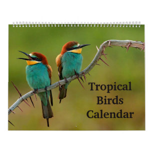 Calendário Aves Tropicais