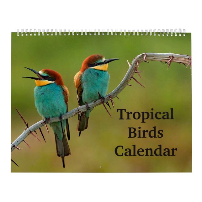 Calendário Aves Tropicais (Capa)