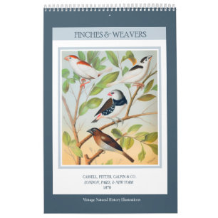 Calendário Aves Vintage - Finches e Weavers 2022