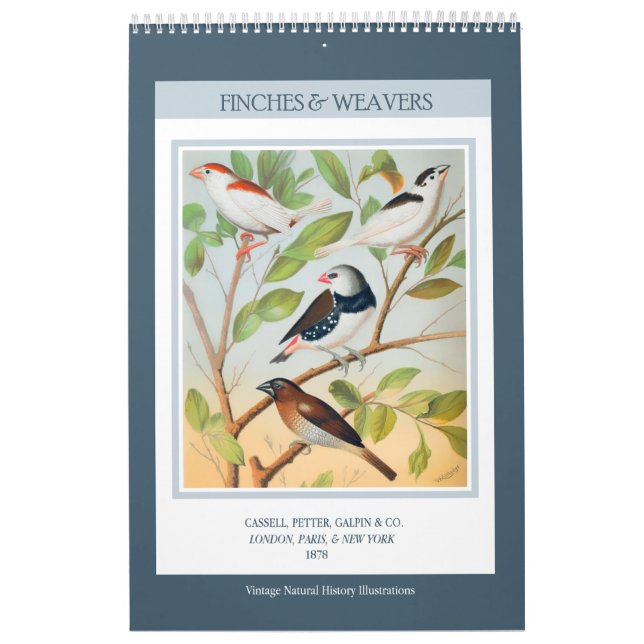 Calendário Aves Vintage - Finches e Weavers 2026 (Capa)