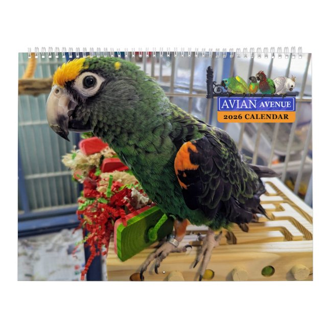 Calendário Avian Avenue 2026 Parrot Calendar (Capa)