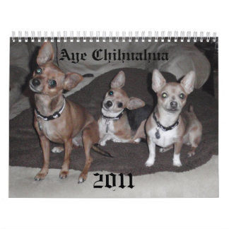 Calendário Aye chihuahua 2011