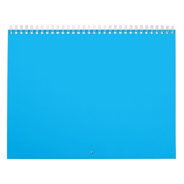 Calendário Azul de Denim, Azul de Fonte,Água-viva (Capa)