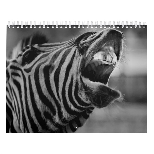 Calendário B/W do Zebra Animal (Capa)