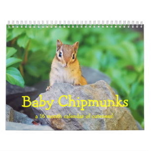 Calendário Baby Chipmunks 2014/2015 (calendário de 16 meses)