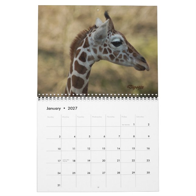 Calendário Baby Giraffe 2012 (Jan 2027)
