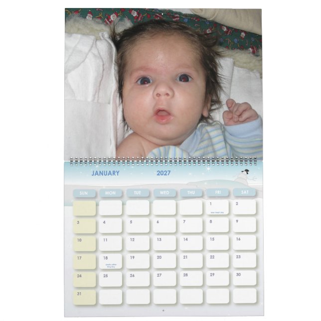 Calendário Baby Steve Calendar (Jan 2027)