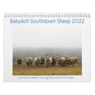 Calendário Babydoll Southdown Sheep 2022 NABSSAR Calendar
