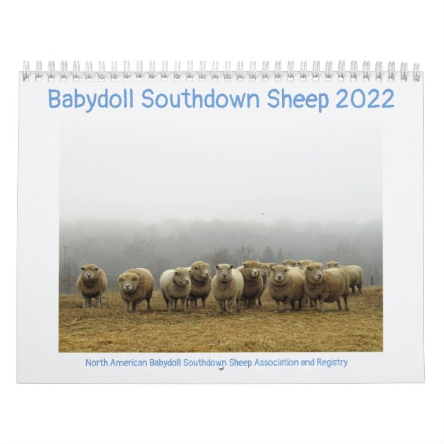 Calendário Babydoll Southdown Sheep 2022 NABSSAR Calendar (Capa)