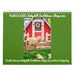 Calendário Babydoll Southdown Sheep 2023 NABSSAR Calendar